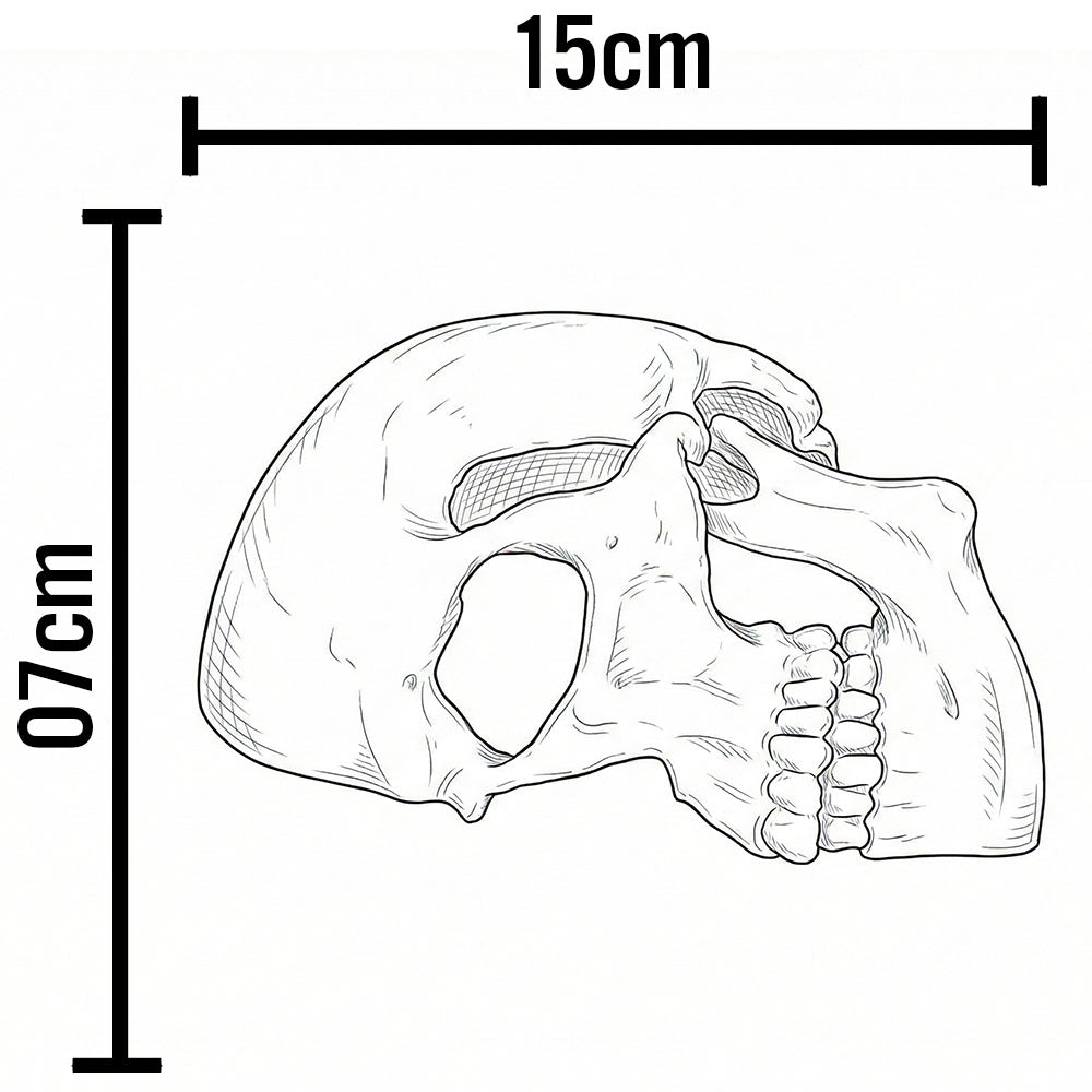 Toca em Formato de Crânio Humano em Perfil